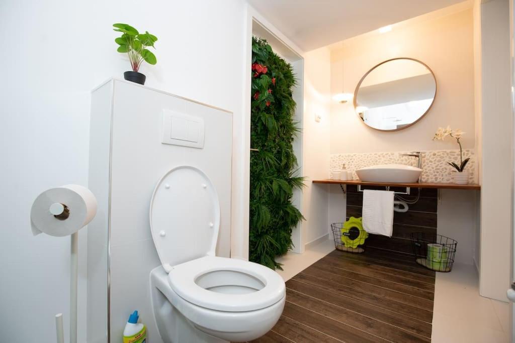 E-House Apartment Brasov Noua Bagian luar foto